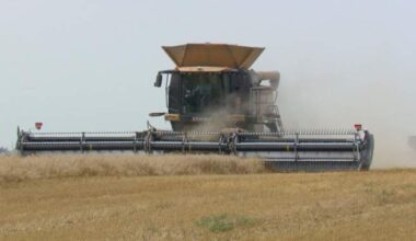 Inconsistent weather, tariffs loom over Manitoba’s harvest - Winnipeg