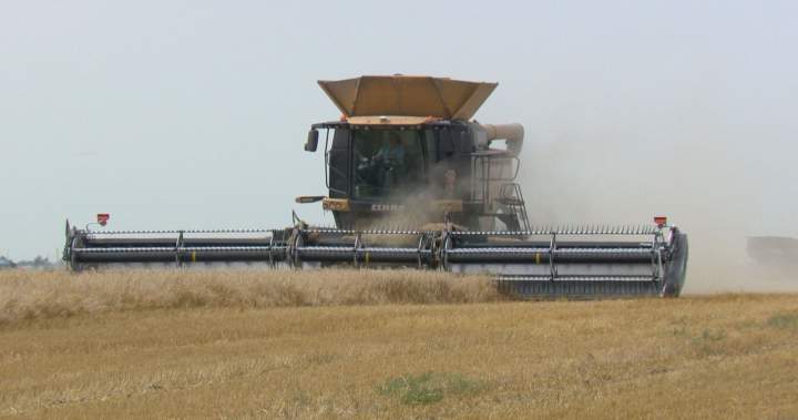 Inconsistent weather, tariffs loom over Manitoba’s harvest - Winnipeg