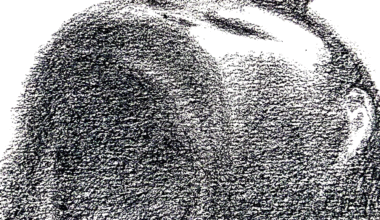 Tribute to Charlie Kirk | The Nation