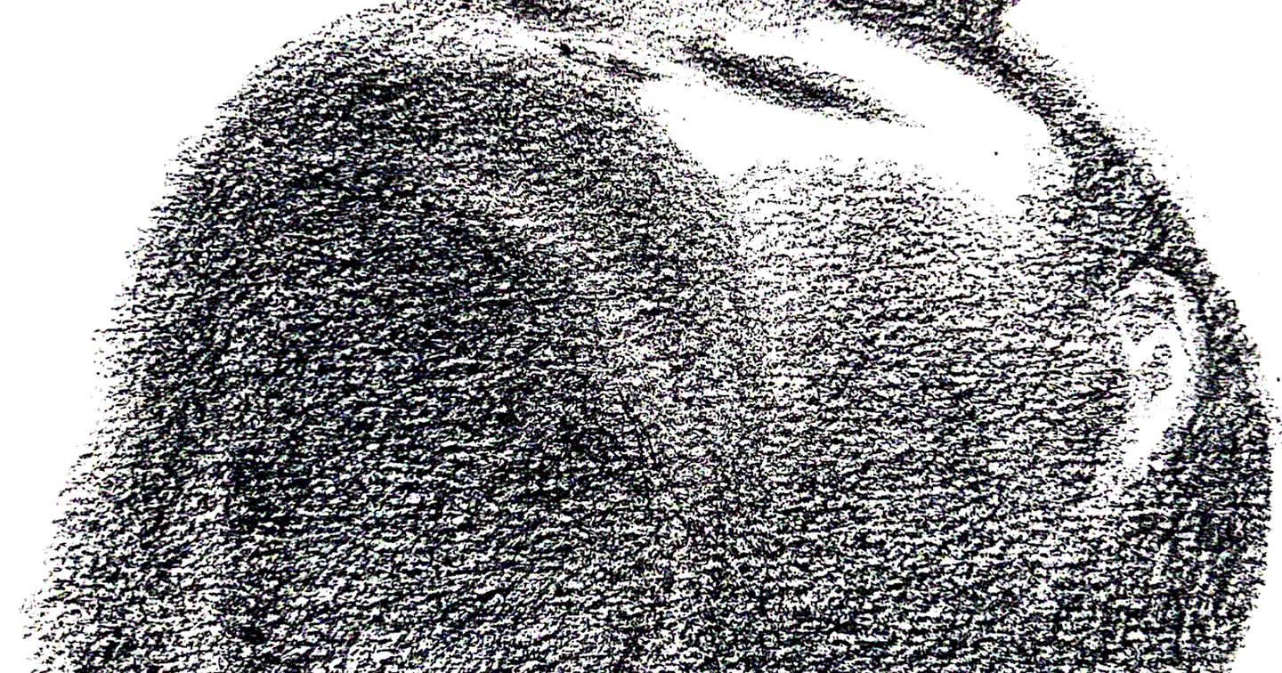 Tribute to Charlie Kirk | The Nation