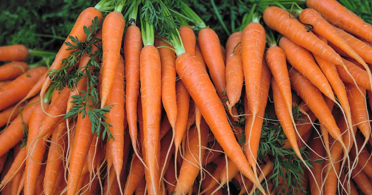 Benicaros gains EU approval