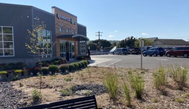 Keweenaw Co-op introduces new native plant garden on Quincy Street