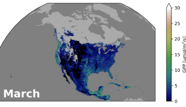 NASA maps plant productivity using ocean satellite data