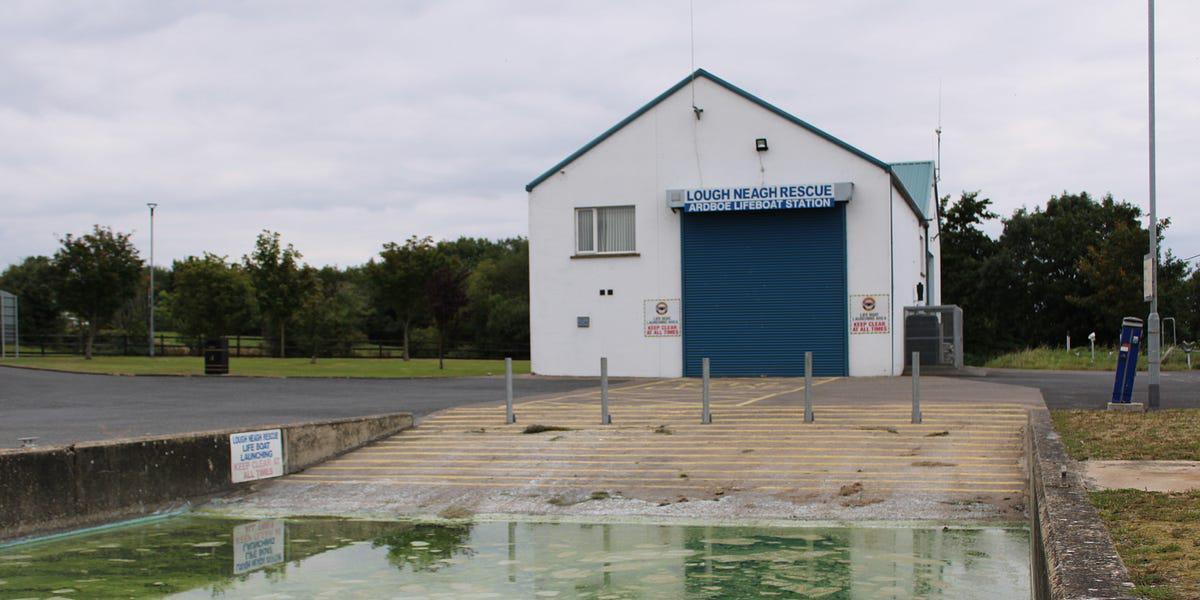 OPINION: DUP and Sinn Fein should hang their heads in shame over state of Lough Neagh