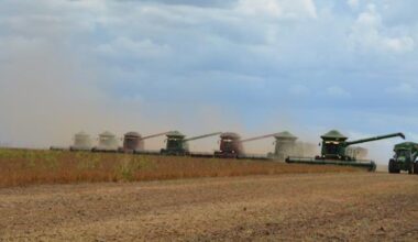 Brazil will remain China's preferred soybean supplier, not the US