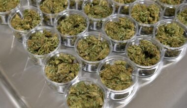What rescheduling marijuana means in law, politics and business