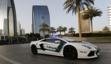 Dubai detains Romanian mercenaries over alleged election coup plot – POLITICO