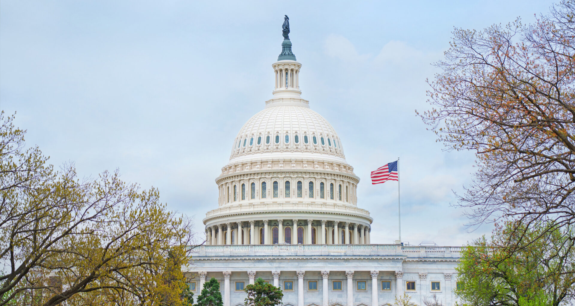 Should DOGE continue its efforts toward government efficiency?