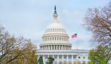 Should DOGE continue its efforts toward government efficiency?