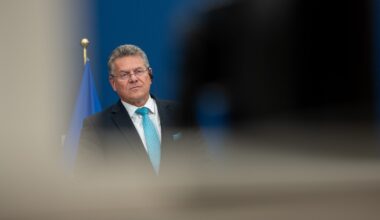 EU trade commissioner hails Trump's "crucial step" on car tariff reduction