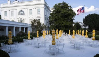 The White House's Recently Renovated Rose Garden