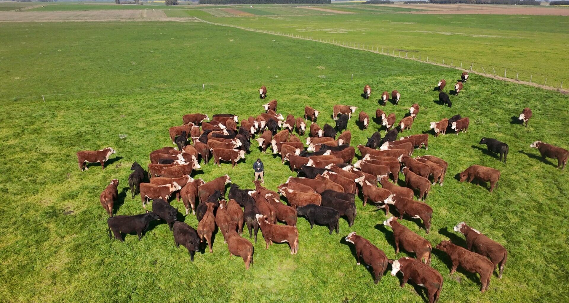 Global Methane Hub project to reduce methane emissions