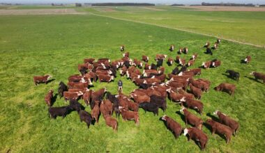 Global Methane Hub project to reduce methane emissions