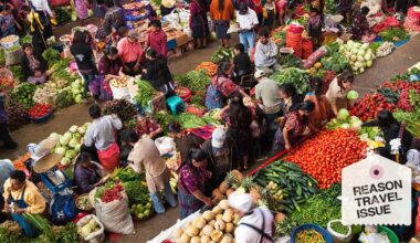 Does Guatemala have a free market economy?