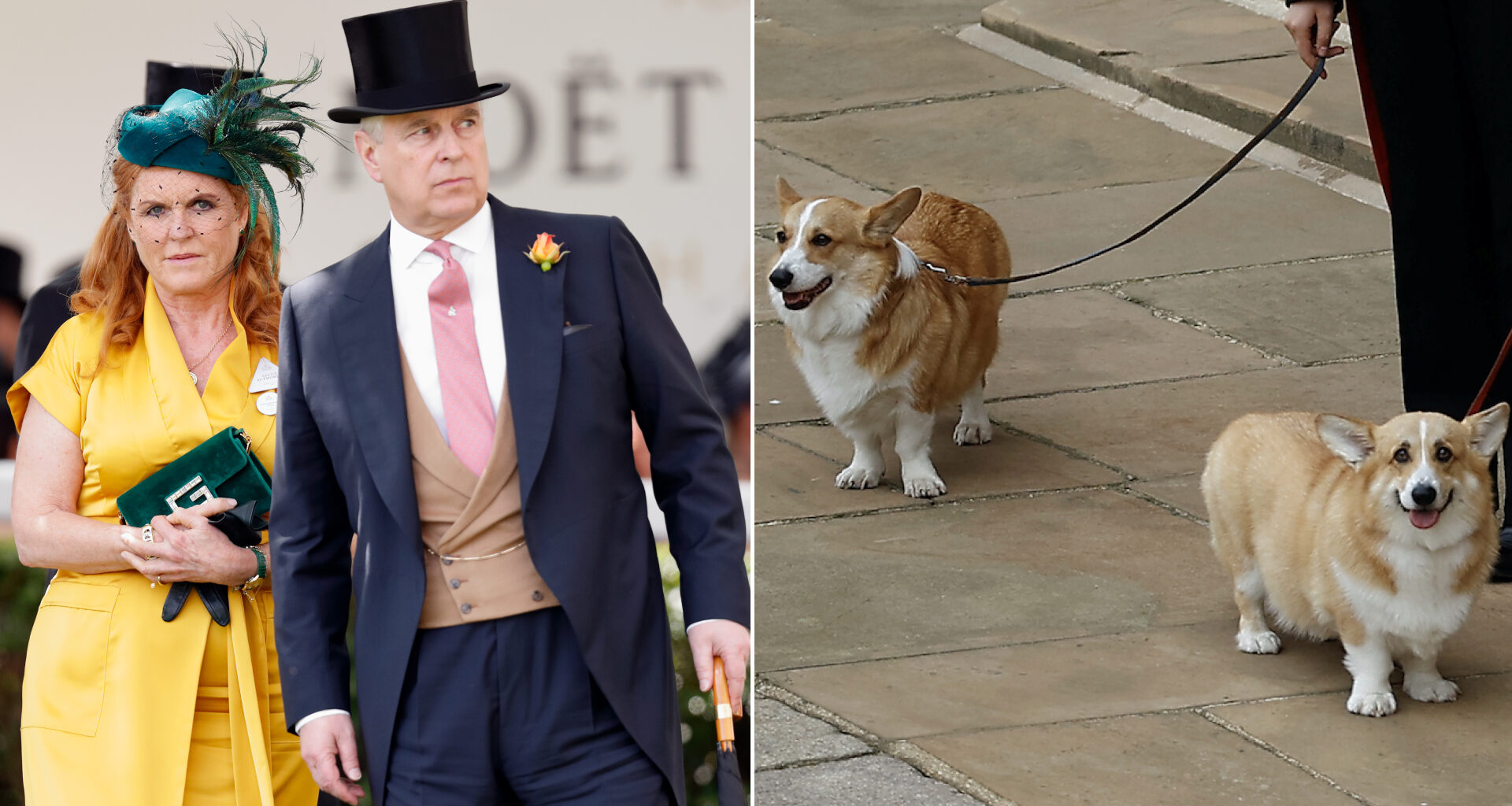 Sarah Ferguson wears a bright yellow dress while Prince Andrew wears a suit and a top hat, while the Queen's corgis look cheeky