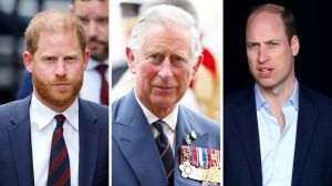 Prince Harry, Prince William, King Charles