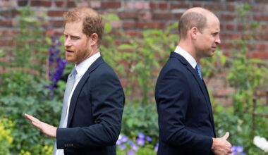 Prince Harry and Prince William have always been ‘night and day’, reveal royal photographers