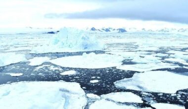 The Arctic is heating up quickly, but scientists say polar geoengineering would cause 'severe environmental damage'