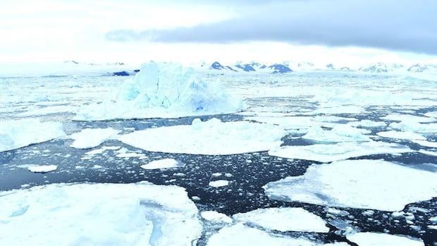 The Arctic is heating up quickly, but scientists say polar geoengineering would cause 'severe environmental damage'