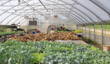 How UGA Community Garden is Adapting to Climate Change — Grady Newsource