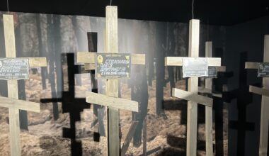 graves of soldiers