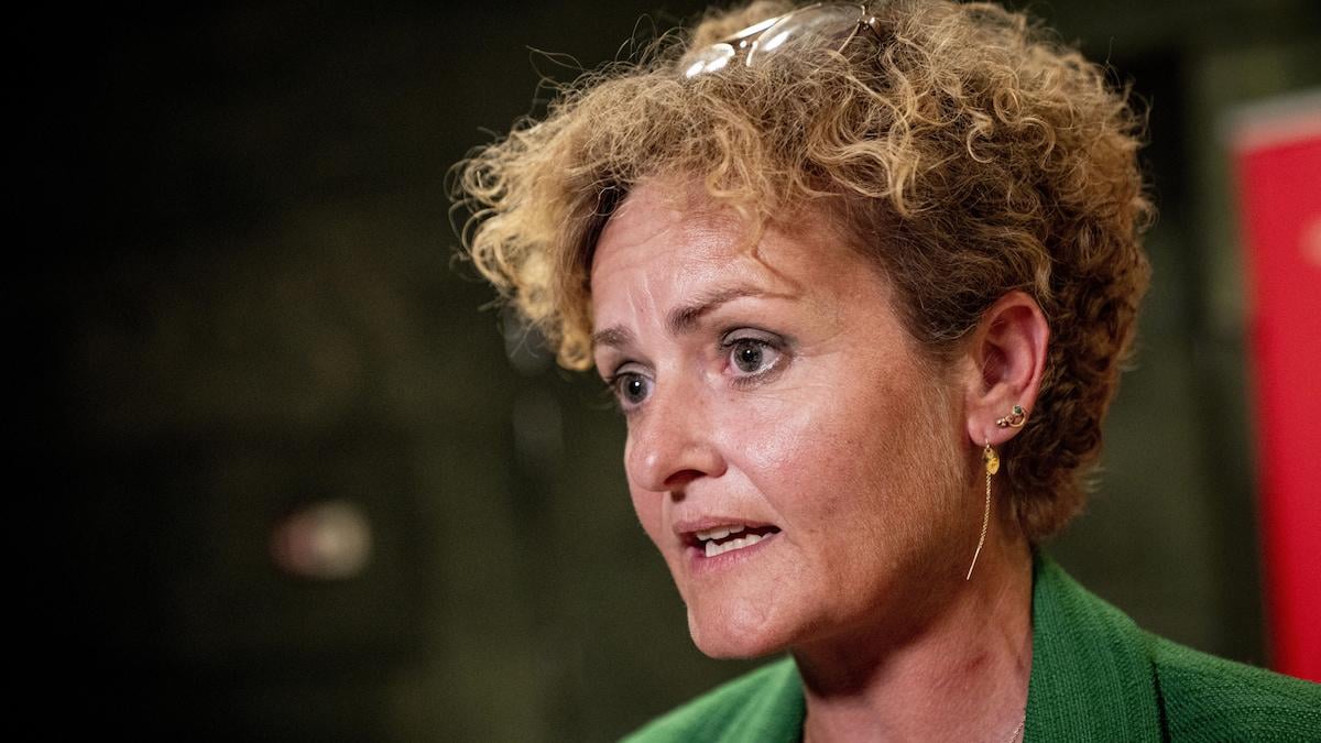 Enhedslisten: Store firmaers gaver til partier skævvrider demokratiet