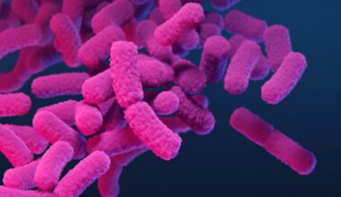 ‘Nightmare bacteria’ cases are increasing in the US