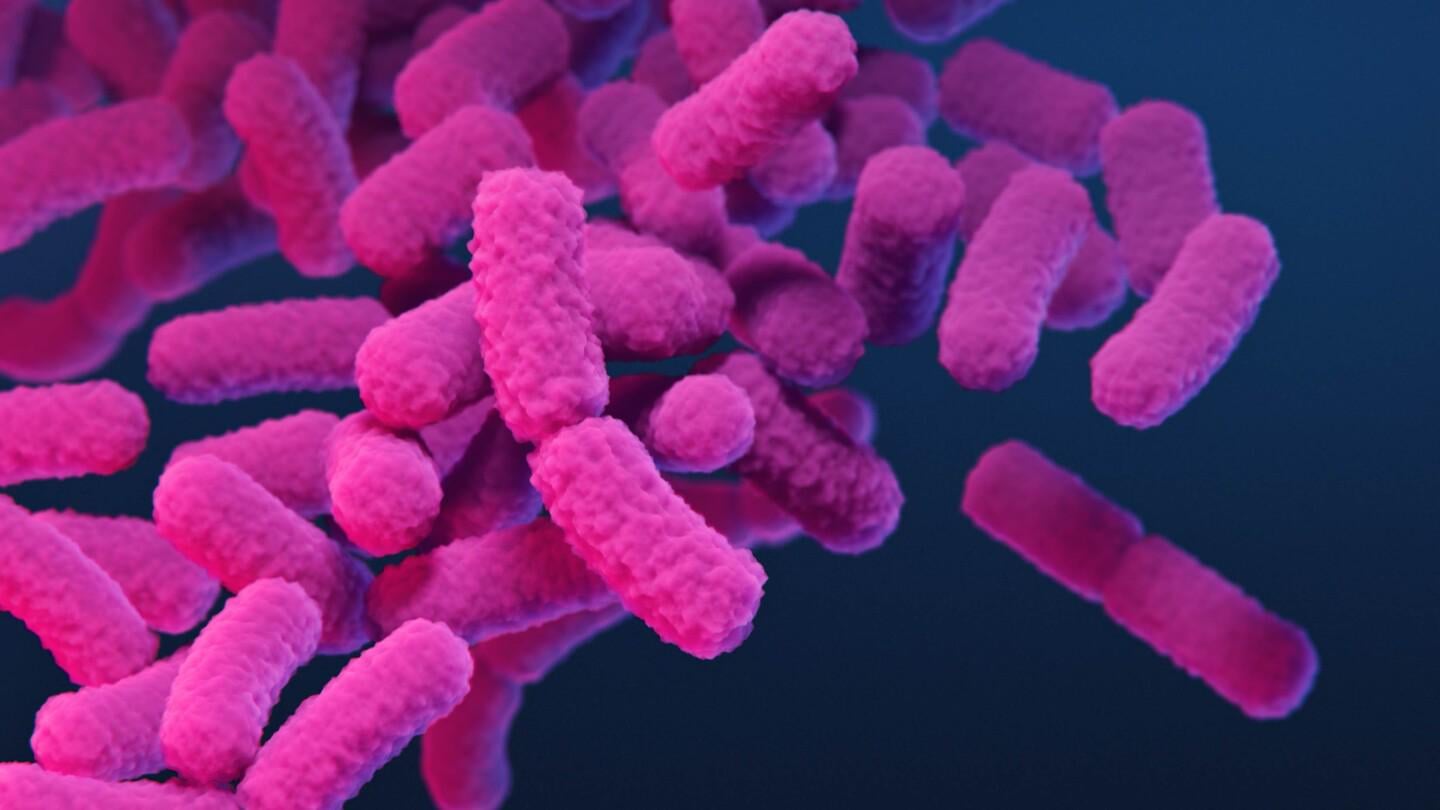 ‘Nightmare bacteria’ cases are increasing in the US