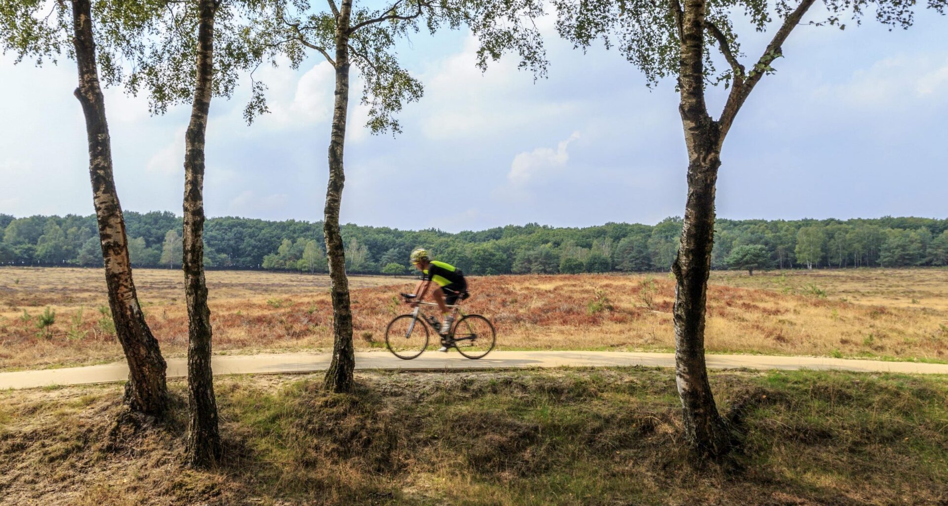 Mooiste herfst fietsroutes in Nederland volgens ANWB
