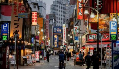 Japan Sees Surge in Tourist Complaints in 2024: Issues with Accommodation, Pricing, and Fake Goods