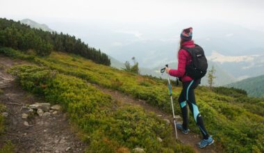 Jeonnam Province, South Korea, Enhances Hiking Trails with Official Road Names for Better Accessibility and Safety For Tourists