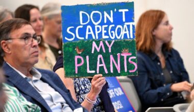 A new “Zone Zero” defensible space draft rule grows in controversy at Pasadena meeting – Daily News