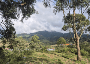 Land for the new hospice.