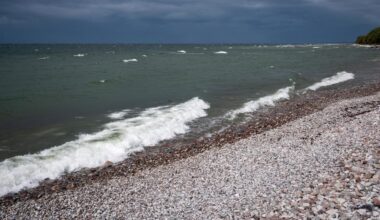 Kris för Östersjöfisken – inte ens totalstopp räcker