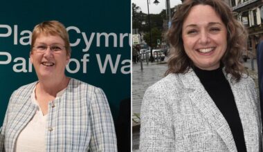 Plaid Cymru MPs lead new Welsh intake in Westminster activity