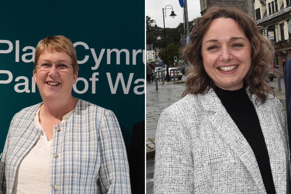 Plaid Cymru MPs lead new Welsh intake in Westminster activity