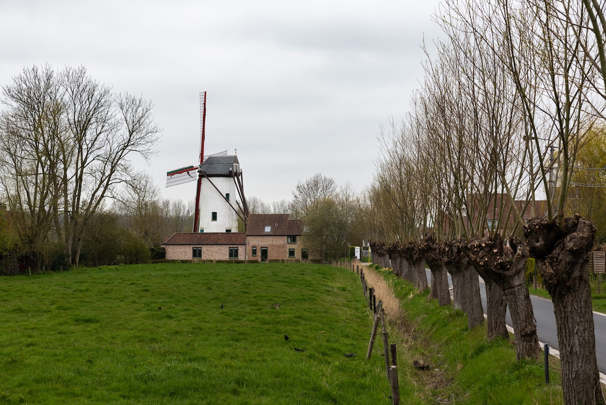 Damme- Belgium- 04 03 2021 - Windmill in a nature background