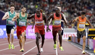 El coyote atrapa al correcaminos