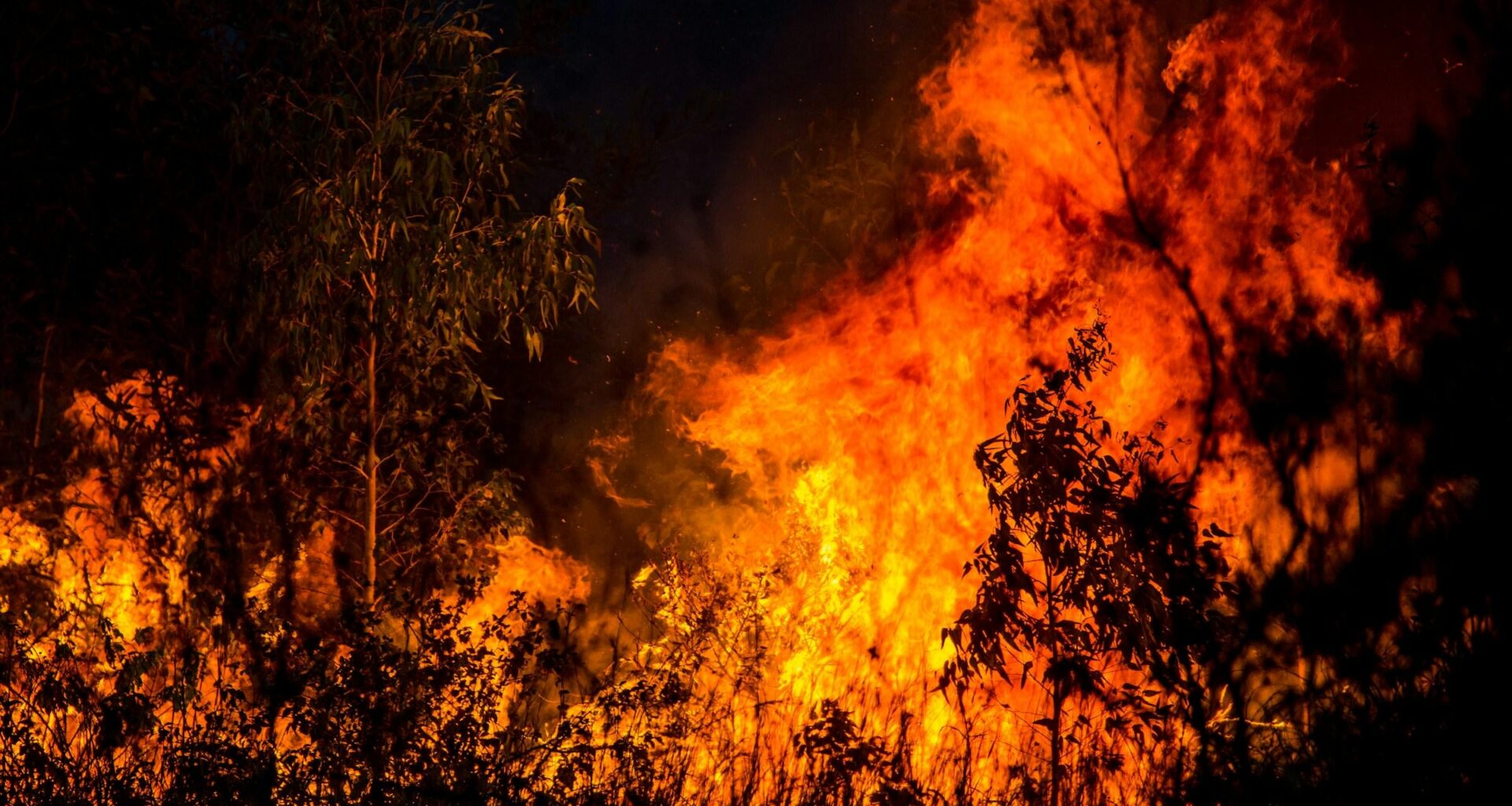 The rich are killing the planet | As the capitalist system decays, the ruling class in country after country is now forced to abandon even the pretense of a climate policy.