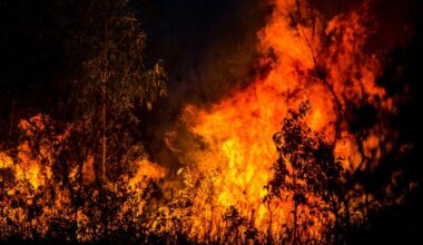 The rich are killing the planet | As the capitalist system decays, the ruling class in country after country is now forced to abandon even the pretense of a climate policy.