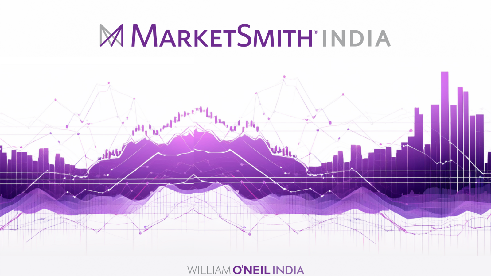 Stock recommendations for 3 September—from MarketSmith India