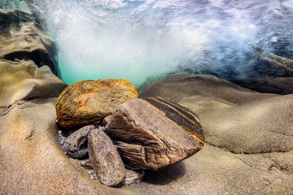 Mustard too hot in Switzerland 1 Mustard