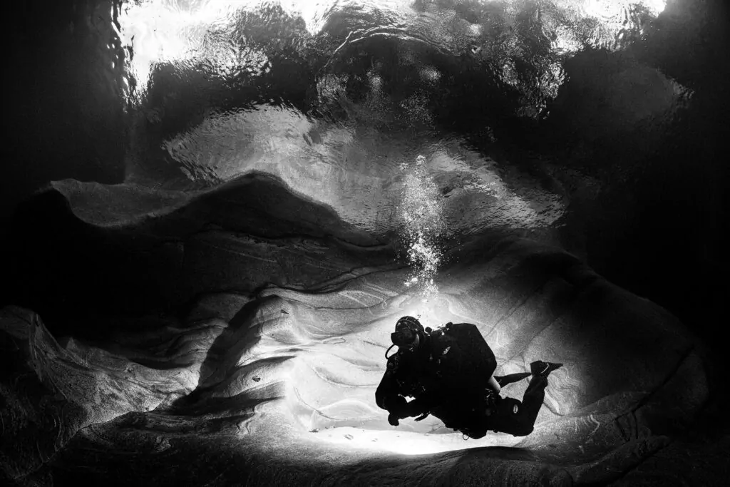 Mustard too hot in Switzerland 2 Mustard