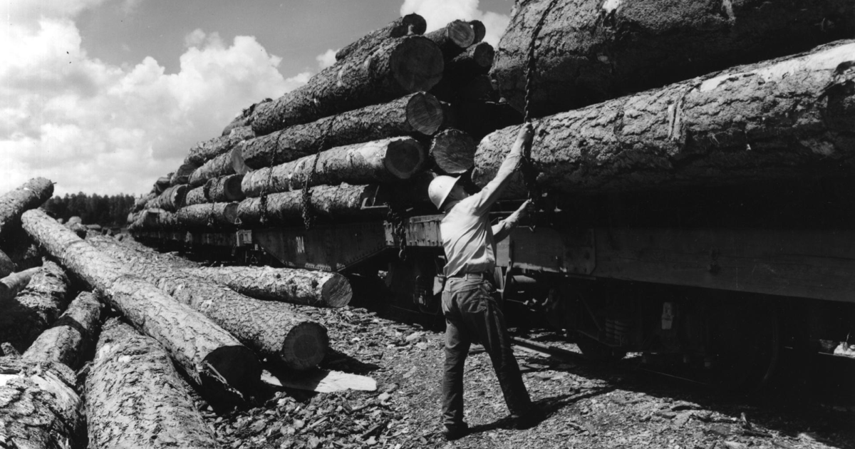 The dismantling of the US Forest Service is imminent