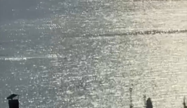 Ukrainian naval drones near Tuapse while there's Russian gunfire in the background trying to engage them (September 24, 2025)