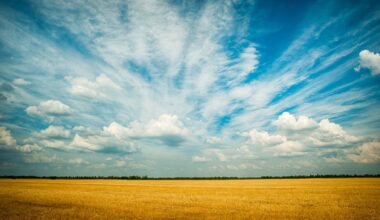Slovakia, Poland seek farmer protection fund against Ukrainian agricultural products