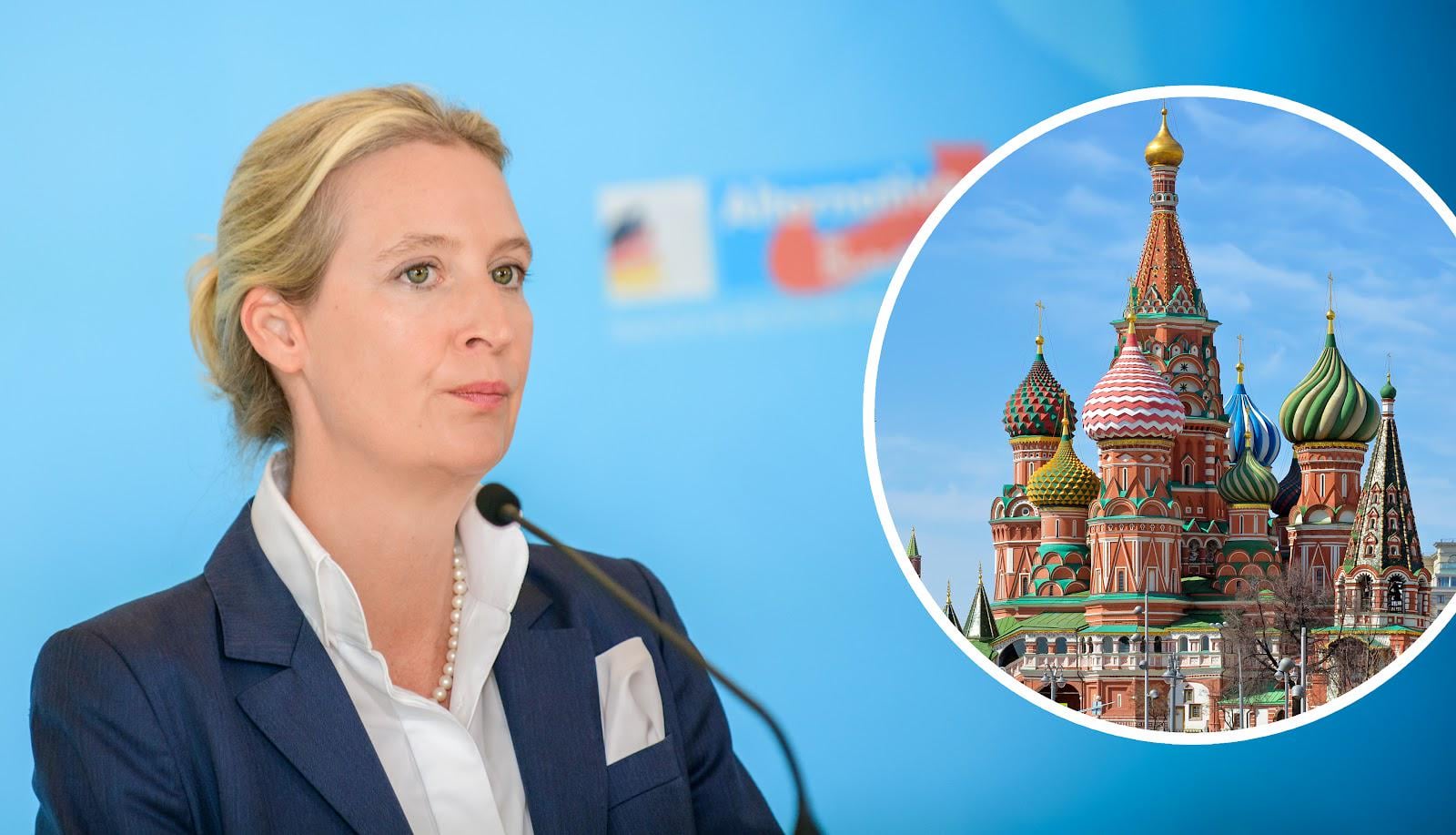 Nach Kritik von Weidel an Putin: Kreml kürzt Parteienfinanzierung für AfD