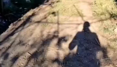 Russian soldiers complains: "F*ck, the Ukies have gone completely f*ck*ng nuts! Here's one [ATV] burning out, the other one is in the bushes. They've completely lost their f*ck*ng minds today! What a brutal Activision!" Published 02.09.2025