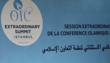 Pakistan Discusses Kashmir Issue With Turkey, Saudi In OIC Meeting In New York | World News
