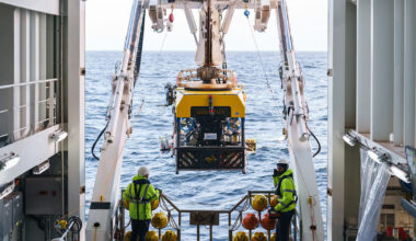 Uruguay Deep-Sea Exploration Unveils Vibrant Coral Reefs